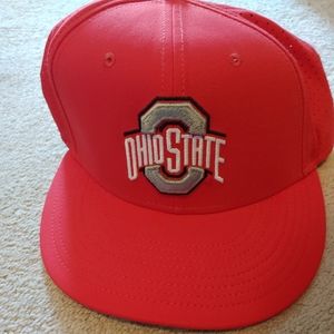 Ohio State nike fitted hat